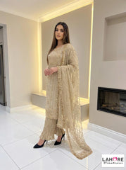 Wedding Edition 26 SAJNI 3286 - Gold - 2026 Wedding edition Heavy chiffon embroidered Pakistani designer Palazzo suit S-XI suits