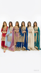6 Colours BEKHUD Plazzo Kameez chiffon embroidered Pakistani design S-XI suits